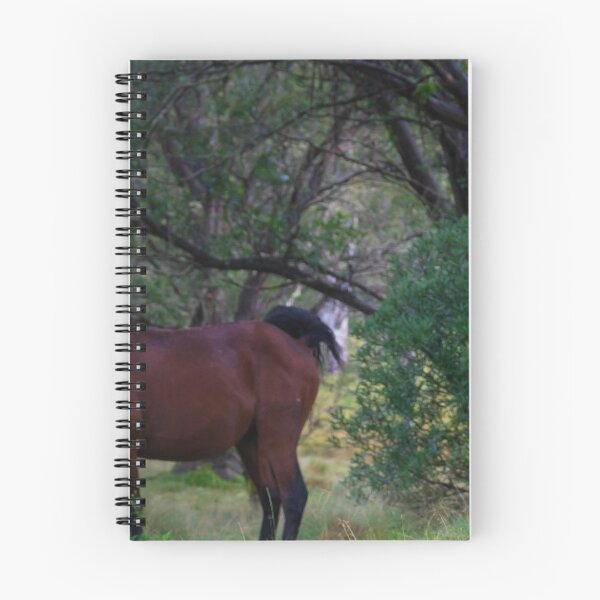Item preview, Barrington Brumbies designed and sold by Toddy4x4.