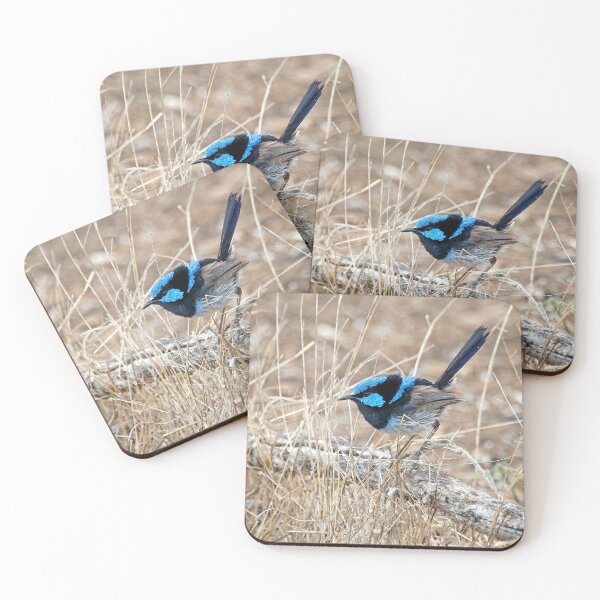 Item preview, Blue Wren 01 designed and sold by GaryParnell.