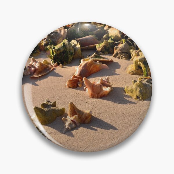 Item preview, Conch Collection designed and sold by Jola Martysz.