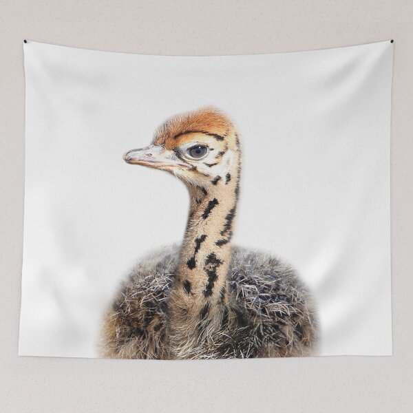 Item preview, Baby Ostrich, Baby Animals Art Print by Synplus designed and sold by synplus.