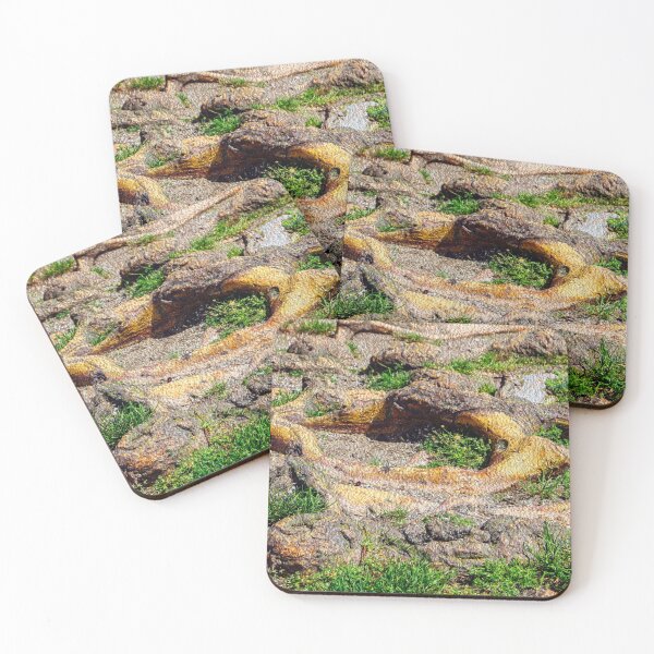 Item preview, Creative Roots designed and sold by heatherfriedman.