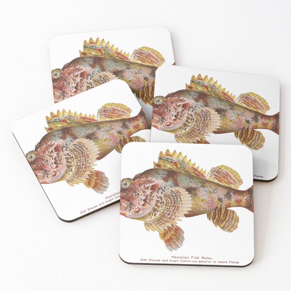 Item preview, Rainbow Zebra Fish Vintage C:between 1905 and 1910 designed and sold by joyousEarth.