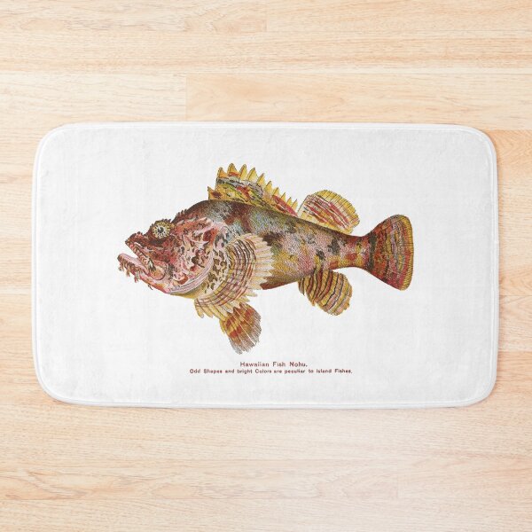 Item preview, Rainbow Zebra Fish Vintage C:between 1905 and 1910 designed and sold by joyousEarth.