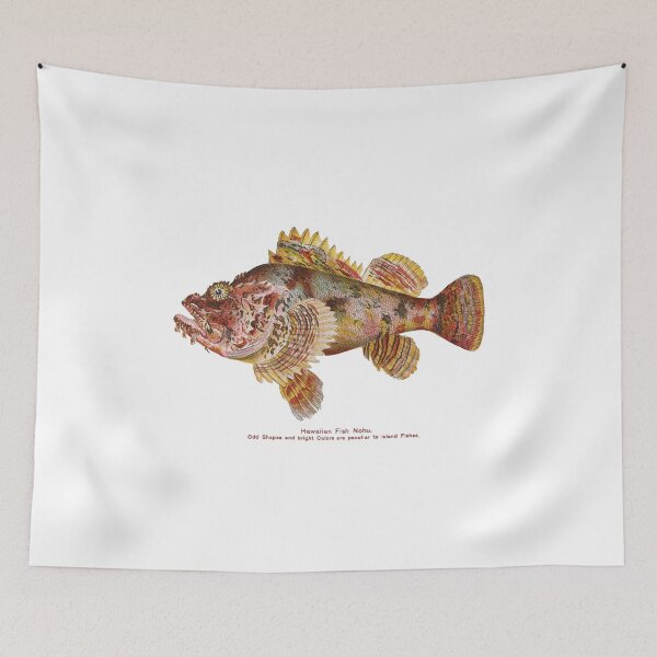 Item preview, Rainbow Zebra Fish Vintage C:between 1905 and 1910 designed and sold by joyousEarth.