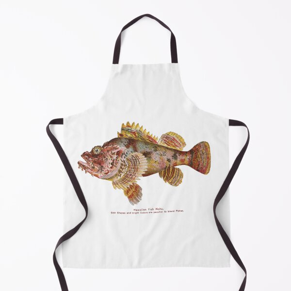 Item preview, Rainbow Zebra Fish Vintage C:between 1905 and 1910 designed and sold by joyousEarth.