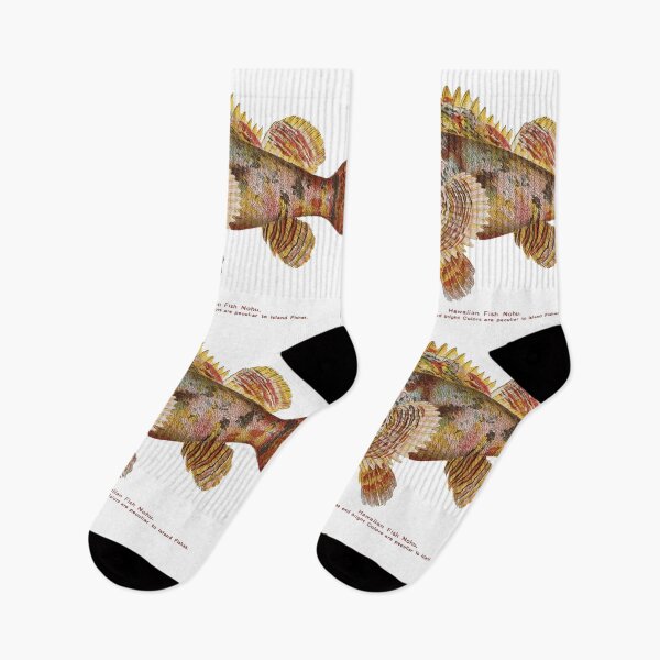 Item preview, Rainbow Zebra Fish Vintage C:between 1905 and 1910 designed and sold by joyousEarth.