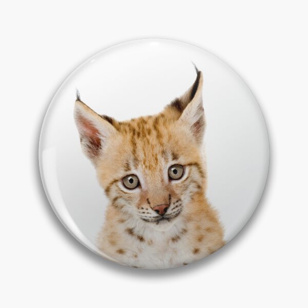 Item preview, Baby Lynx, Bobcat Cub, Baby Animals Art Print by Synplus designed and sold by synplus.