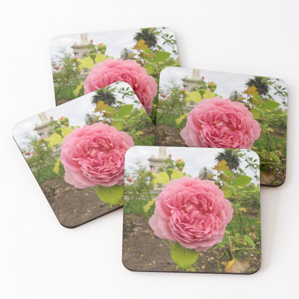 Item preview, Pink rose designed and sold by greentiger1.