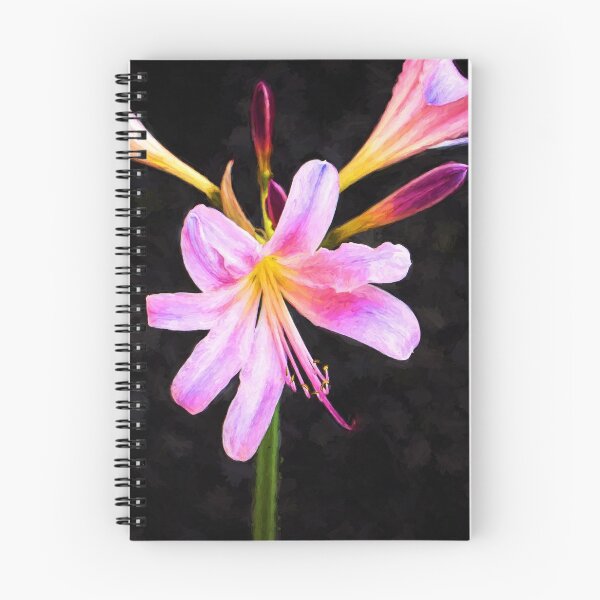 Item preview, Pink Resurrection Lily On Black designed and sold by Sharon McConnell.