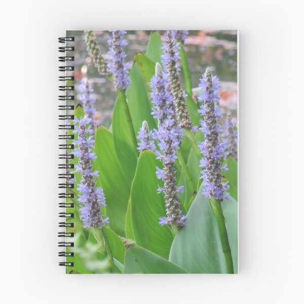 Item preview, Pickerel rush designed and sold by greentiger1.
