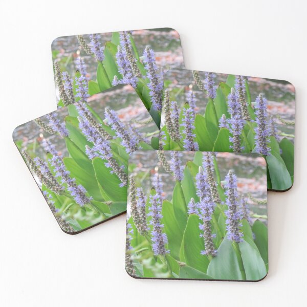Item preview, Pickerel rush designed and sold by greentiger1.