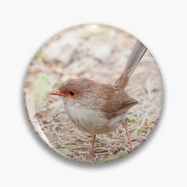 Item preview, Glen Cromie Fairy Wren 01 designed and sold by GaryParnell.