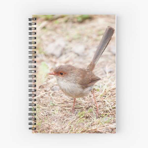 Item preview, Glen Cromie Fairy Wren 01 designed and sold by GaryParnell.