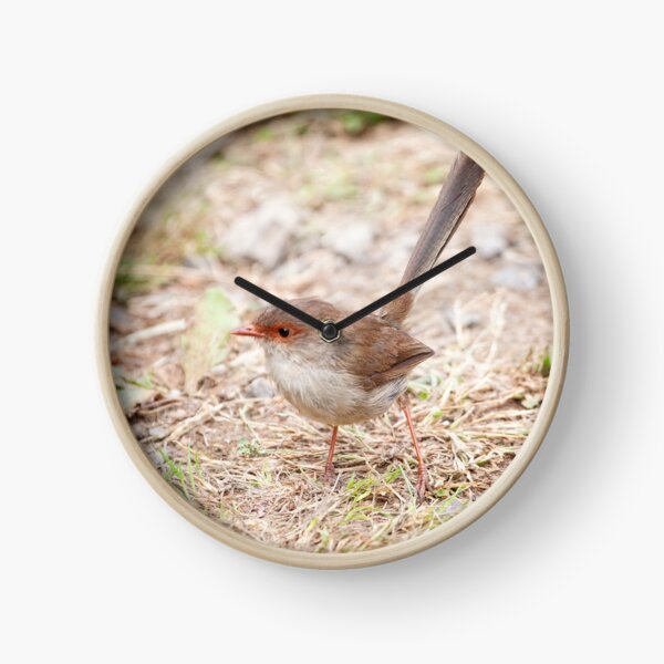Item preview, Glen Cromie Fairy Wren 01 designed and sold by GaryParnell.