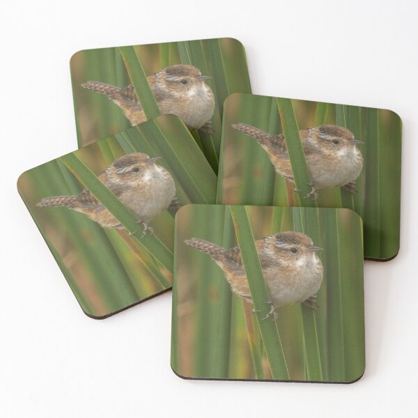 Item preview, Marsh Wren perching on cattails in marsh at Chase Lake NWR designed and sold by Steven Holt.