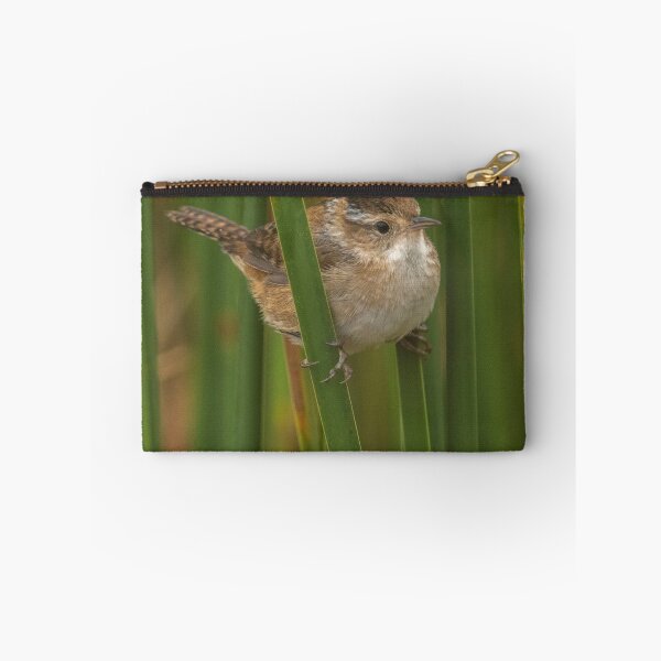 Item preview, Marsh Wren perching on cattails in marsh at Chase Lake NWR designed and sold by Steven Holt.