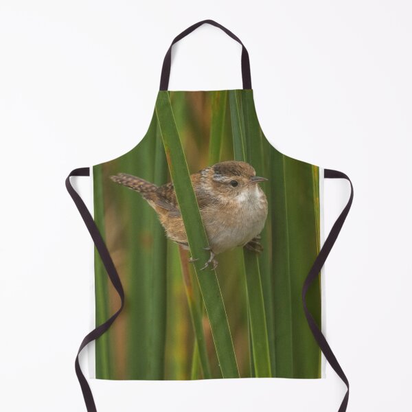 Item preview, Marsh Wren perching on cattails in marsh at Chase Lake NWR designed and sold by Steven Holt.