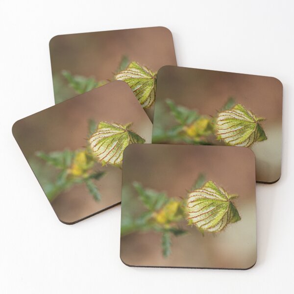 Item preview, Hibiscus Bud Has Pleats designed and sold by Joy Watson - Natural Light Photography .