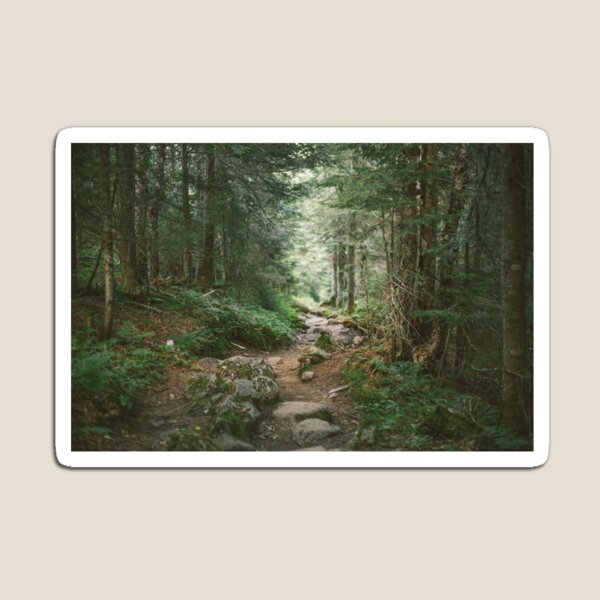 Mount Marcy adirondacks design Magnet