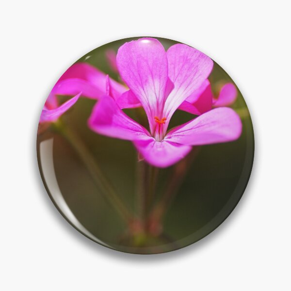 Item preview, Geranium Applause Pink Flower designed and sold by Joy Watson - Natural Light Photography .