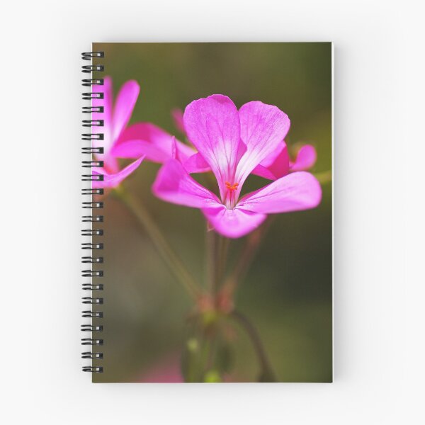 Item preview, Geranium Applause Pink Flower designed and sold by Joy Watson - Natural Light Photography .