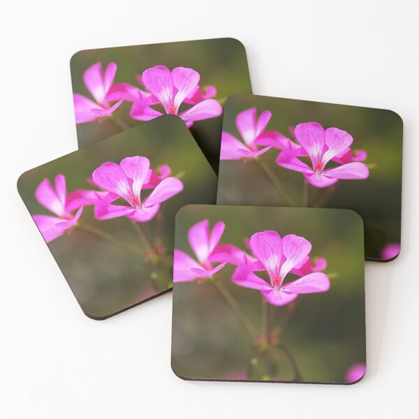 Item preview, Geranium Applause Pink Flower designed and sold by Joy Watson - Natural Light Photography .