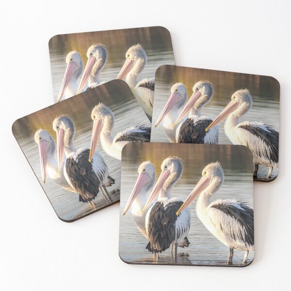 Item preview, Hastings Pelicans 01 designed and sold by GaryParnell.