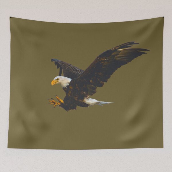 Item preview, Eagle Flying Talons Out Catching Dinner or a Branch designed and sold by Shanna  Dugan.