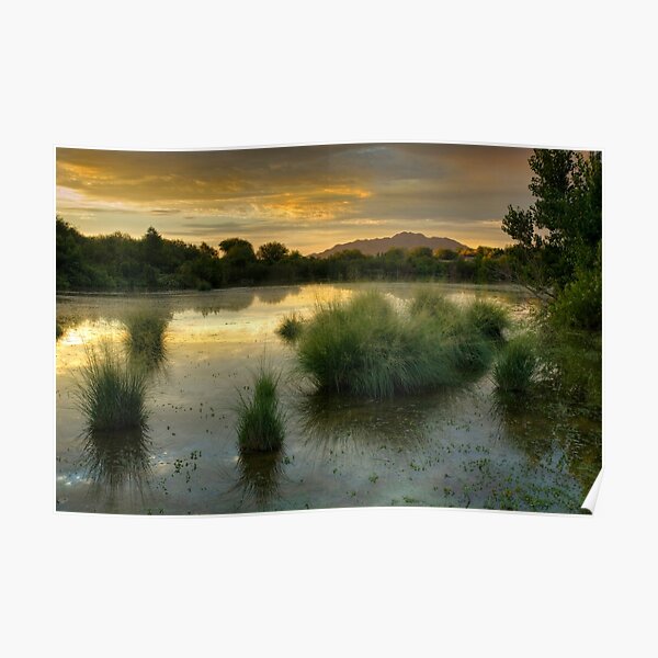 Morning Serenity Poster