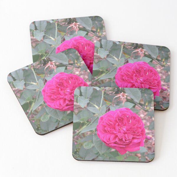 Item preview, Deep pink rose designed and sold by greentiger1.