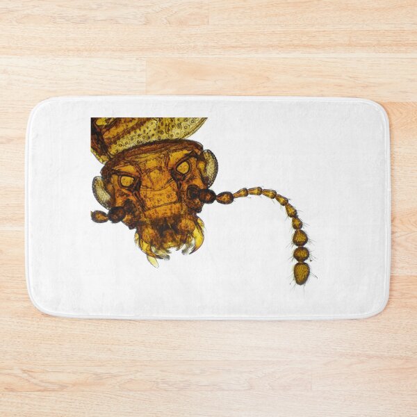 Item preview, Small fungus beetle under the microscope designed and sold by SDym Photography.
