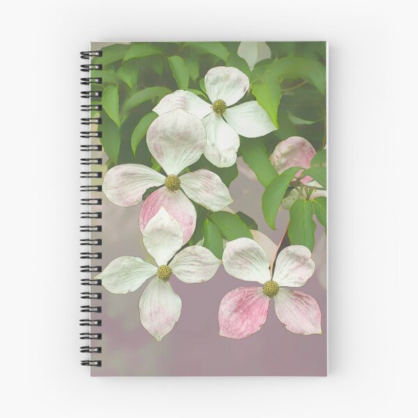 Item preview, Cornus Kousa Flowers designed and sold by Alisonchambers2.