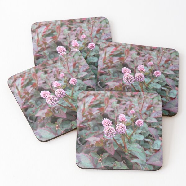 Item preview, Pink knotweed designed and sold by greentiger1.