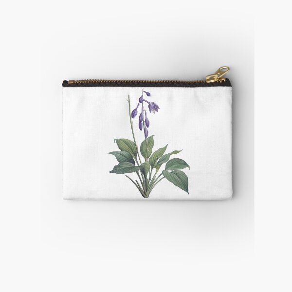 Item preview, Hemerocallis Caerulea 19 c. Botanical Illustration designed and sold by Happy Puppy Print On Demand.