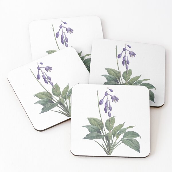 Item preview, Hemerocallis Caerulea 19 c. Botanical Illustration designed and sold by Happy Puppy Print On Demand.