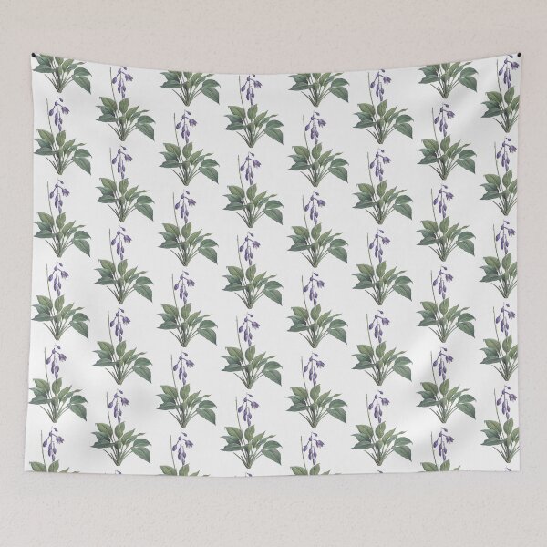 Item preview, Hemerocallis Caerulea 19 c. Botanical Illustration designed and sold by Happy Puppy Print On Demand.