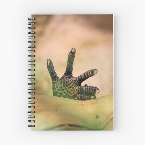 Item preview, Garras designed and sold by FactorFourPhoto.
