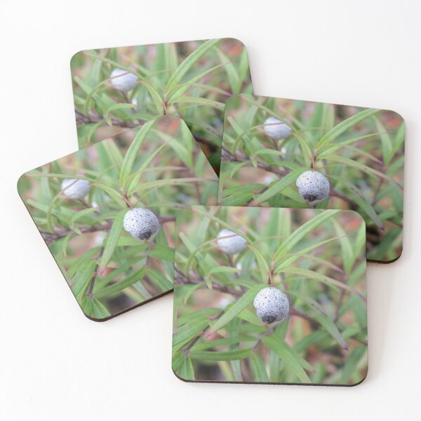 Item preview, Little grey berry designed and sold by greentiger1.