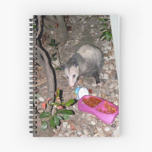 Item preview, Baby Possum Was Hungry designed and sold by Navigator.