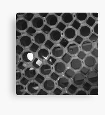 LATTICE IN TIME Canvas Print