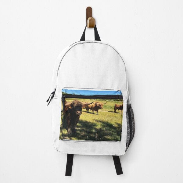 Item preview, Scottish Highland Cattle Bulls 2492 designed and sold by SaarelaHighland.