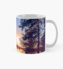 WATER TEMPLE Mug
