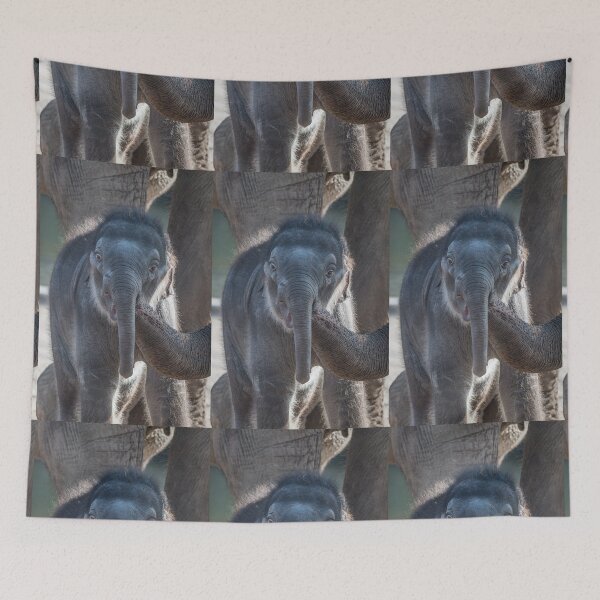 Item preview, Asian baby elephant with mom designed and sold by Ingo Gerlach.