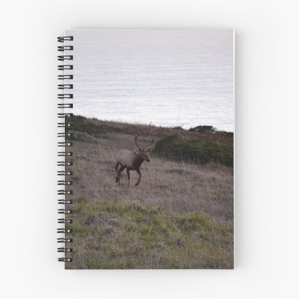 Item preview, Tule Elk  designed and sold by hitomimyhomie.