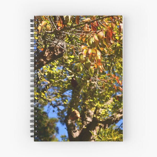 Item preview, "Fall" in SF designed and sold by hitomimyhomie.