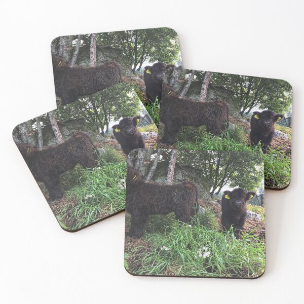 Item preview, Scottish Highland Cattle Calves 2500 designed and sold by SaarelaHighland.