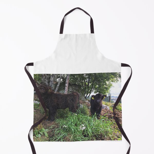 Item preview, Scottish Highland Cattle Calves 2500 designed and sold by SaarelaHighland.