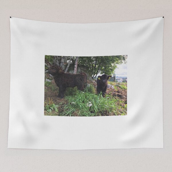 Item preview, Scottish Highland Cattle Calves 2500 designed and sold by SaarelaHighland.