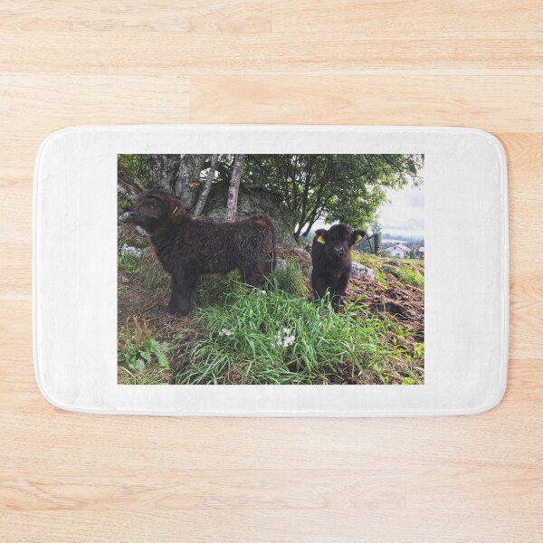 Item preview, Scottish Highland Cattle Calves 2500 designed and sold by SaarelaHighland.