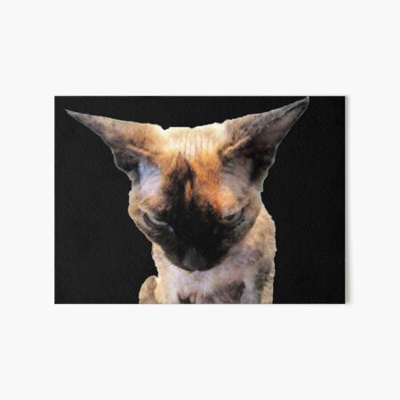 Impressions Rigides Sur Le Theme Oreilles De Chat Redbubble